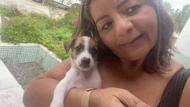 Cãozinho ganha carona de ciclista e acaba sendo adotado caozinho-ganha-carona-de-ciclista-e-acaba-sendo-adotado