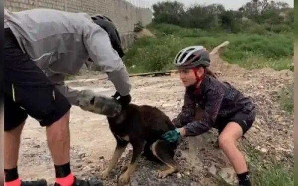ciclistas-salvam-cachorro-em-apuros