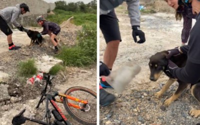 ciclistas-salvam-cachorro-em-apuros
