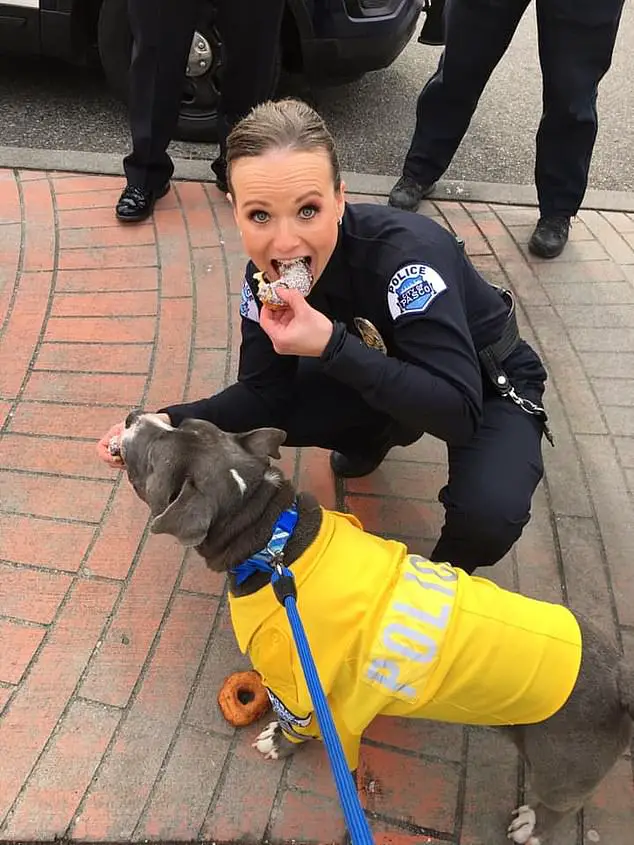Cidade se une para atender os últimos desejos de um cachorro com doença incurável cidade-se-une-para-atender-os-ultimos-desejos-de-um-cachorro