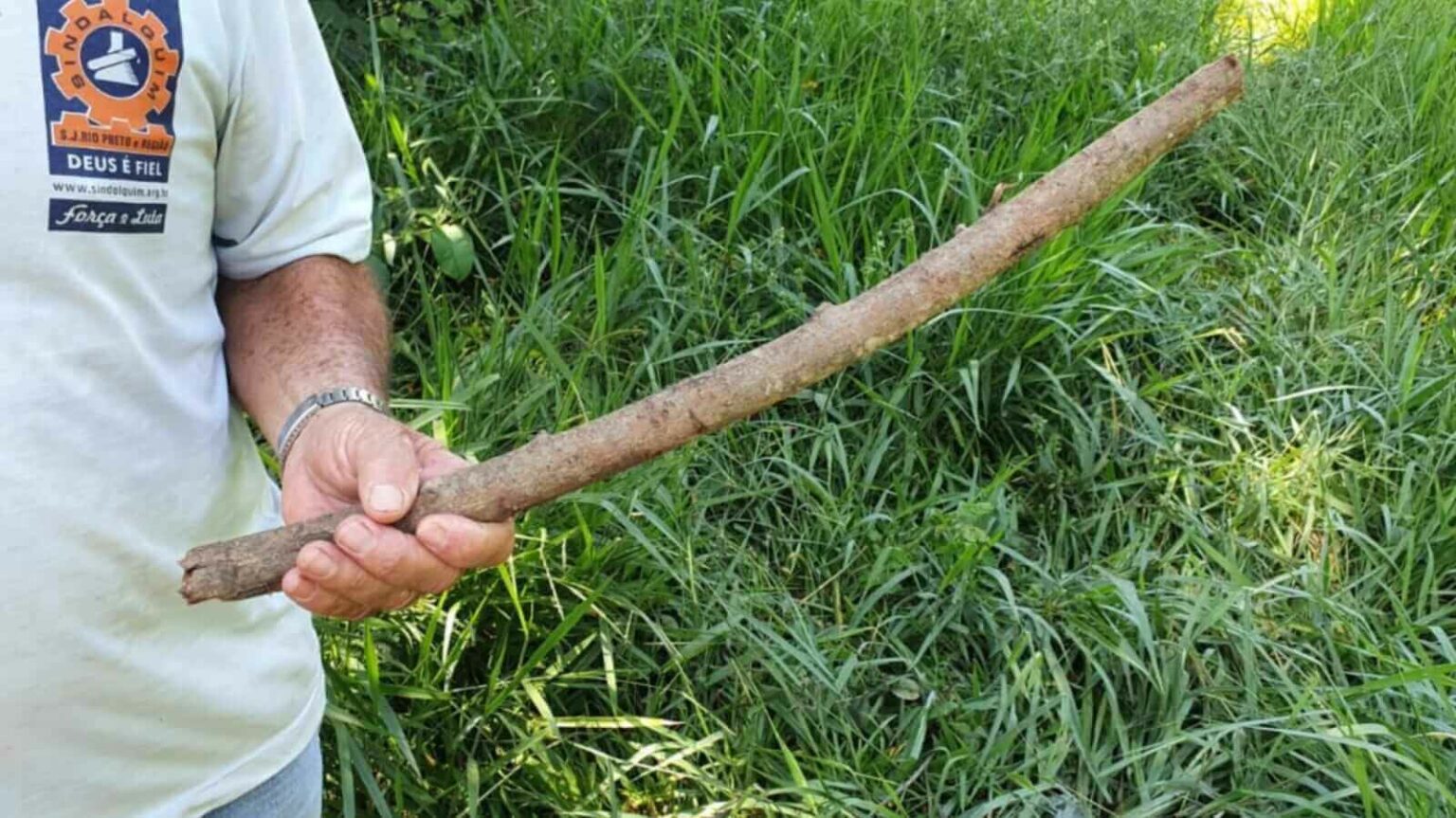 Homem enfrenta sucuri para salvar cachorro: 'Eu morreria se não conseguisse soltá-lo' Homem enfrenta sucuri para salvar cachorro: 'Eu morreria se não conseguisse soltá-lo'