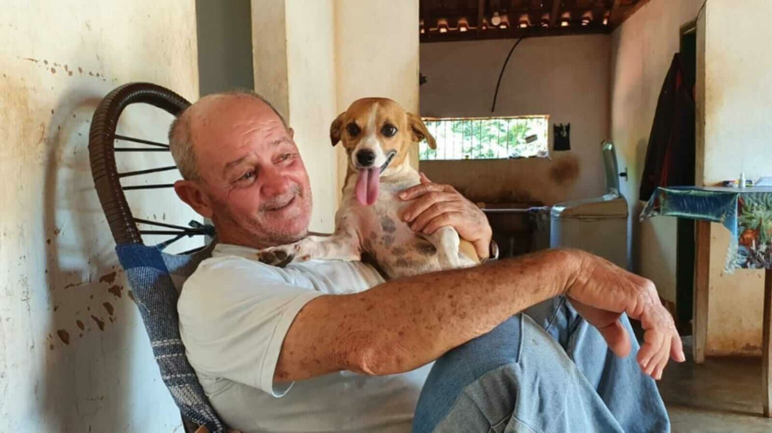 Homem enfrenta sucuri para salvar cachorro: 'Eu morreria se não conseguisse soltá-lo' Homem enfrenta sucuri para salvar cachorro: 'Eu morreria se não conseguisse soltá-lo'