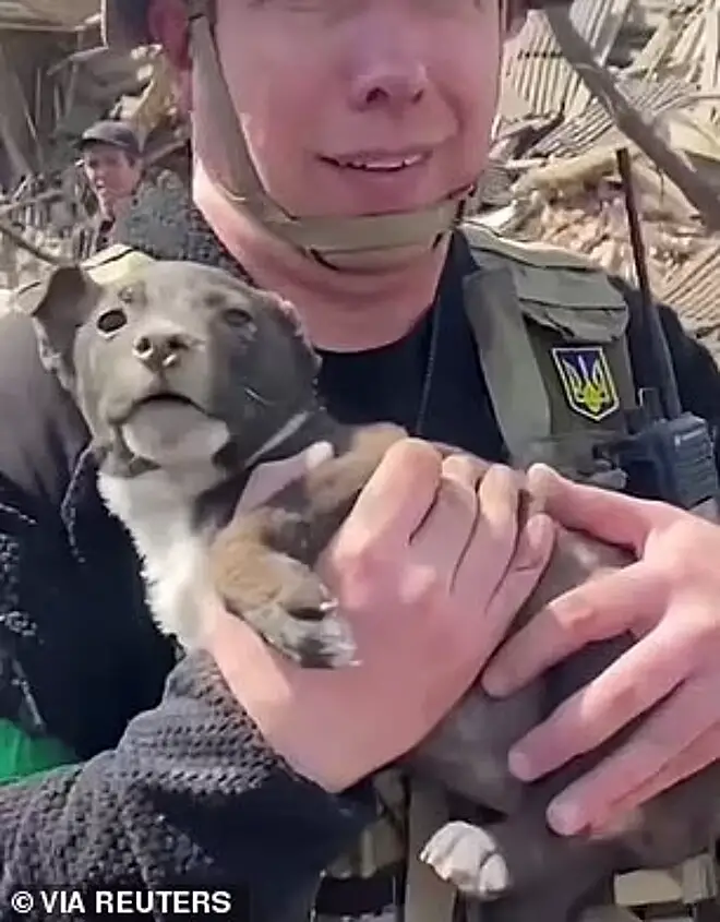 Idoso se emociona ao reencontrar seu cachorro em escombros da guerra homem-reencontra-cachorro-em-escombros-da-guerra
