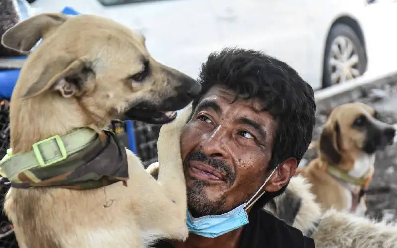 Homem viaja pelo país de bicicleta para resgatar cães abandonados homem-viaja-pelo-pais-para-resgatar-caes