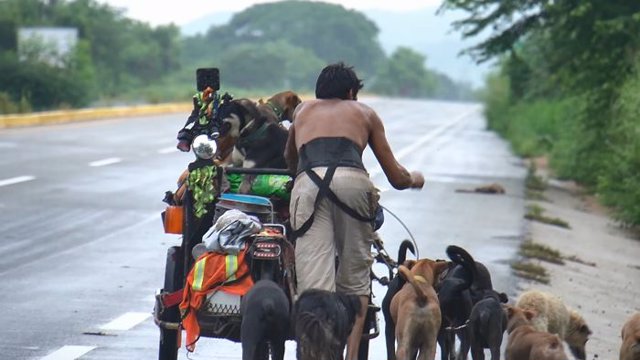 Homem viaja pelo país de bicicleta para resgatar cães abandonados Homem viaja pelo país de bicicleta para resgatar cães abandonados