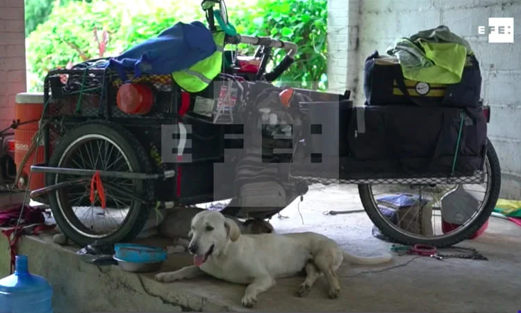Homem viaja pelo país de bicicleta para resgatar cães abandonados homem-viaja-pelo-pais-para-resgatar-caes