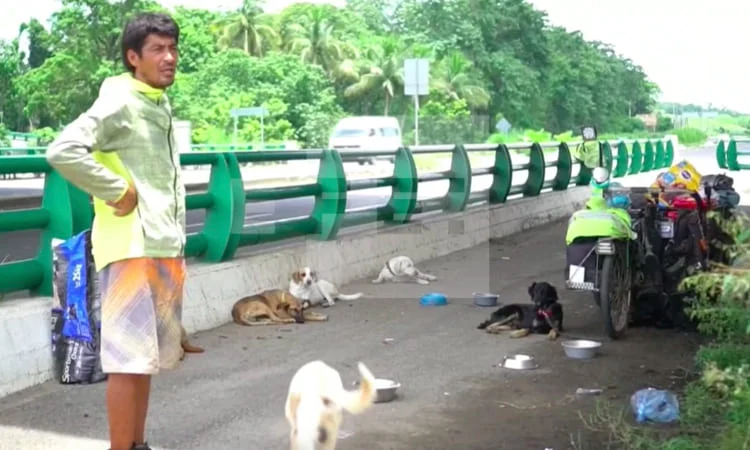 Homem viaja pelo país de bicicleta para resgatar cães abandonados homem-viaja-pelo-pais-para-resgatar-caes