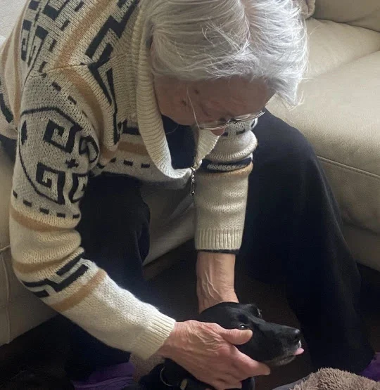 Idosa chora de emoção ao rever o cachorro depois de ser separada pela guerra idosa-chora-de-emocao-ao-rever-o-cachorro