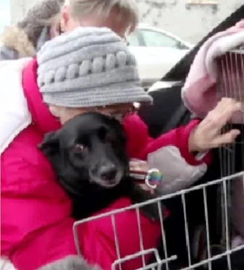 Idosa chora de emoção ao rever o cachorro depois de ser separada pela guerra idosa-chora-de-emocao-ao-rever-o-cachorro