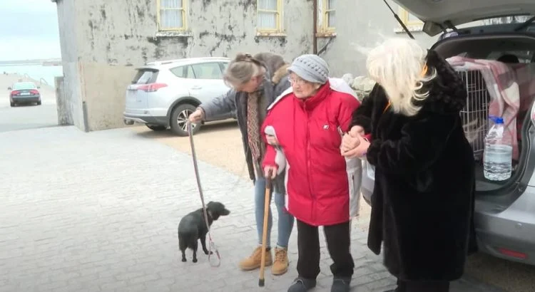 Idosa chora de emoção ao rever o cachorro depois de ser separada pela guerra idosa-chora-de-emocao-ao-rever-o-cachorro