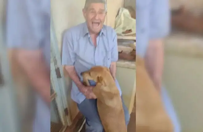 idoso-visita-canil-e-acaba-adotando-uma-cachorra