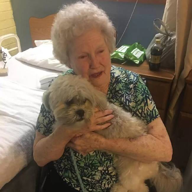 Jovem surpreende avó deprimida com um novo cãozinho