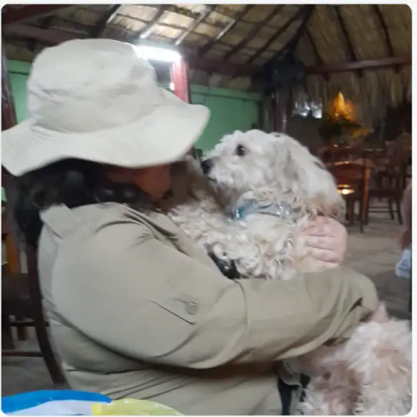 Luno, o cachorrinho que quase foi sacrificado depois de viajar luno-o-cachorrinho-que-quase-foi-sacrificado