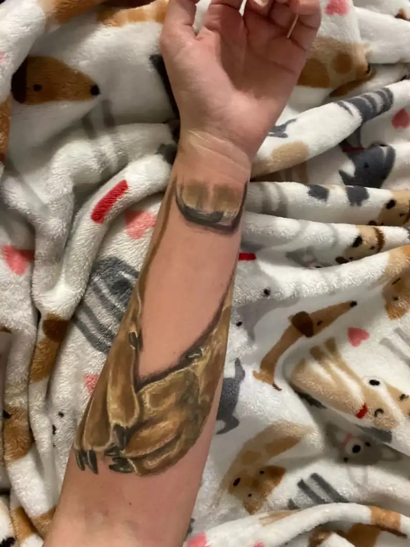 Mulher faz tatuagem em memória do cachorro adotado mulher-faz-tatuagem-em-memoria-do-cachorro-adorado