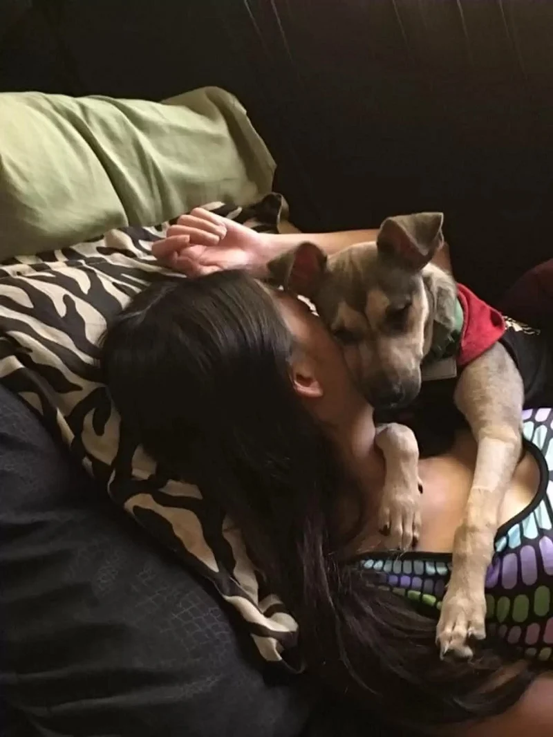 Mulher faz tatuagem em memória do cachorro adotado mulher-faz-tatuagem-em-memoria-do-cachorro-adorado