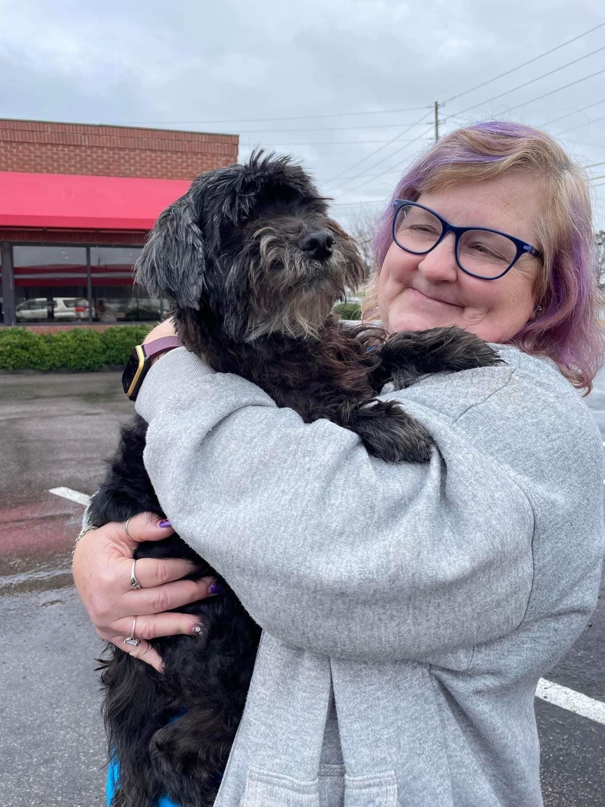 Mulher viaja 900 km para devolver cachorro perdido mulher-viaja-900-km-para-devolver-cachorro-perdido