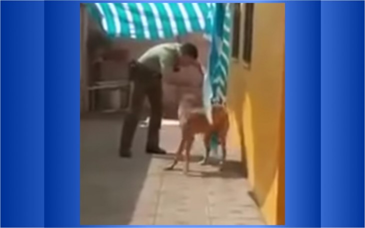 Emocionante: Policial ajuda cachorro e ganha um abraço de recompensa; assista policial-ajuda-cachorro-e-ganha-um-abraco-de-recompensa