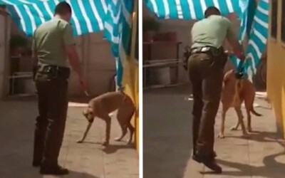 policial-ajuda-cachorro-e-ganha-um-abraco-de-recompensa