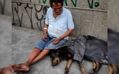 sem-teto-doa-casaco-para-cachorro-de-rua-e-os-dois-conseguem-abrigo