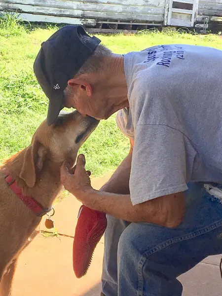 O último desejo deste idoso foi encontrar lares para os 27 cães adotados ultimo-desejo-deste-homem-foi-encontrar-lares-para-os-caes-adotados