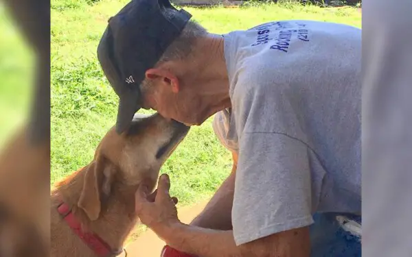 O último desejo deste idoso foi encontrar lares para os 27 cães adotados ultimo-desejo-deste-homem-foi-encontrar-lares-para-os-caes-adotados