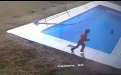 Menino de 5 anos pula em piscina gelada para salvar cachorro