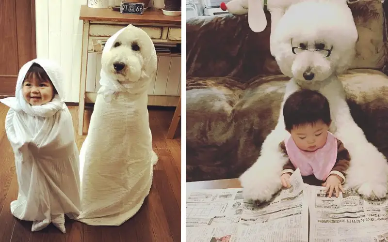 A amizade entre uma garotinha e um poodle gigante tornará seu dia mais feliz amizade-entre-uma-garotinha-e-um-poodle