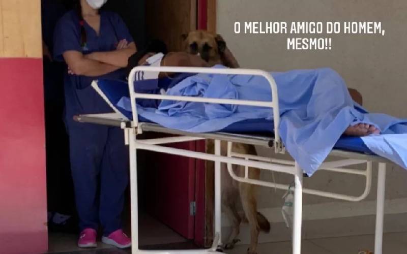 Cachorro acompanha ambulância que transportava seu tutor até a unidade médica Cachorro acompanha ambulância que transportava seu tutor até a unidade médica
