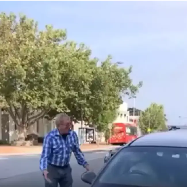 Impaciente, cachorro dispara a buzina para apressar sua tutora cachorro-dispara-a-buzina-para-chamar-a-atencao-da-tutora