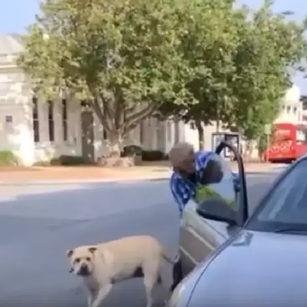 Impaciente, cachorro dispara a buzina para apressar sua tutora cachorro-dispara-a-buzina-para-chamar-a-atencao-da-tutora