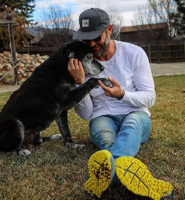 Homem adota cachorro de 16 anos e garante que serão seus melhores últimos dias cachorro-idoso-renasce-ao-ser-adotado