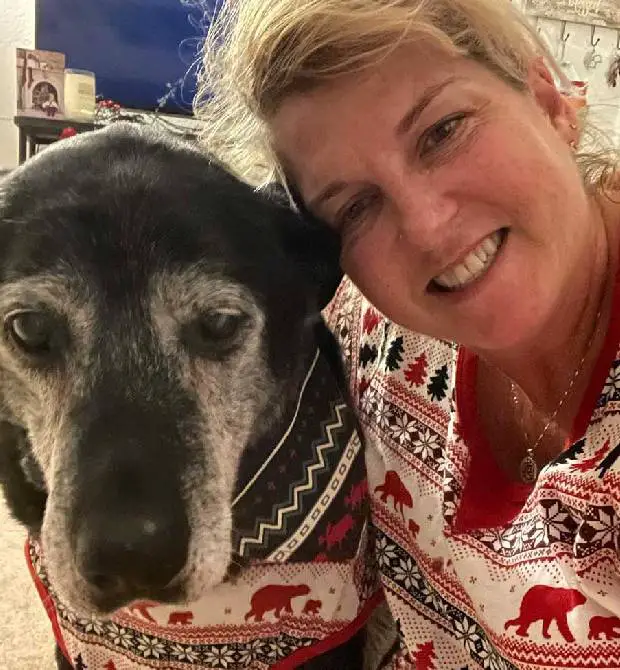 Homem adota cachorro de 16 anos e garante que serão seus melhores últimos dias cachorro-idoso-renasce-ao-ser-adotado