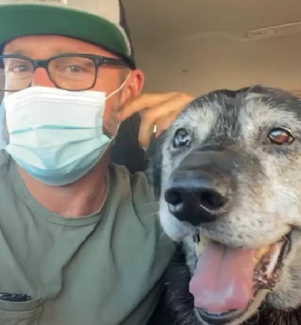 Homem adota cachorro de 16 anos e garante que serão seus melhores últimos dias cachorro-idoso-renasce-ao-ser-adotado