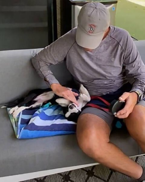 Homem acampa em frente a abrigo para adotar seu cachorro favorito Homem acampa em frente a abrigo para adotar seu cachorro favorito