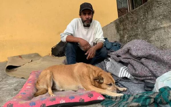 Moradores de rua não aceitam ir para abrigos sem seus cachorros: 'Não vou abandonar' Moradores de rua não aceitam ir para abrigos sem seus cachorros: 'Não vou abandonar'