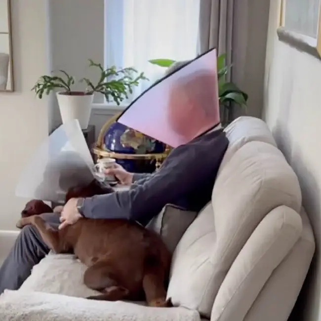 Pai humano usa cone em solidariedade ao cachorro machucado pai-usa-cone-em-solidariedade-ao-cachorro-machucado