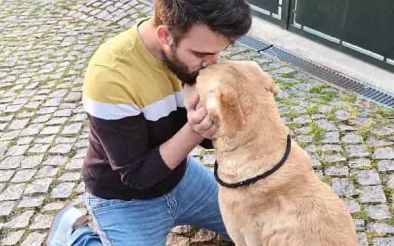 Homem tem reencontro emocionante com cachorro que sumiu por 4 anos um-reencontro-emocionante-entre-cao-e-tutor