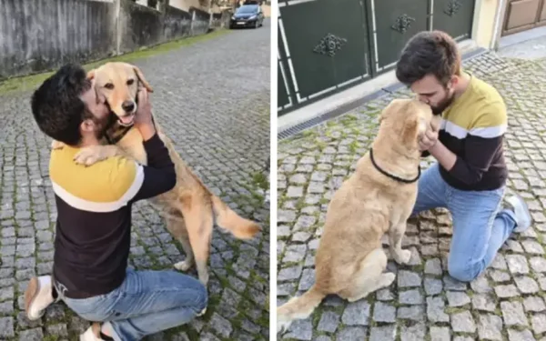 Homem tem reencontro emocionante com cachorro que sumiu por 4 anos um-reencontro-emocionante-entre-cao-e-tutor