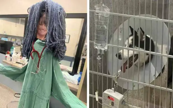 Cachorrinho ganha 'veterinária particular' para não se sentir sozinho e assustado Cachorrinho ganha 'veterinária particular' para não se sentir sozinho e assustado