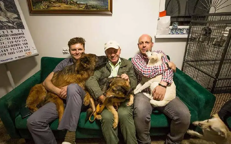 Veterinário organiza comboios para resgatar animais abandonados na Ucrânia veterinario-organiza-comboios-para-resgatar-animais-na-ucrania