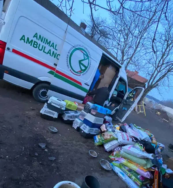 Veterinário organiza comboios para resgatar animais abandonados na Ucrânia veterinario-organiza-comboios-para-resgatar-animais-na-ucrania