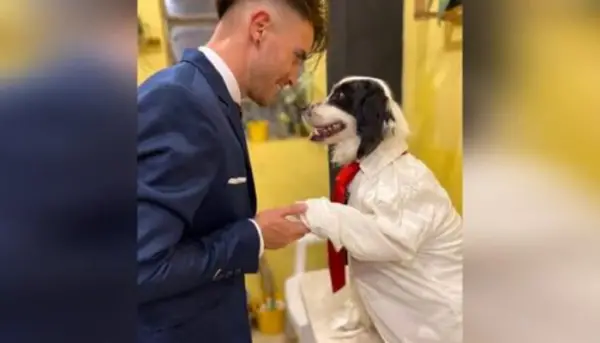 Jovem comemora formatura ao lado do cachorro amigo Jovem comemora formatura ao lado do cachorro amigo