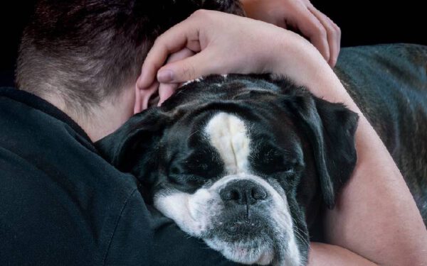 11 coisas prejudiciais que fazemos sem perceber para os cães Coisas prejudiciais que fazemos sem perceber para os cães
