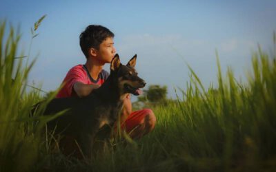 como-os-cachorros-escolhem-sua-pessoa-favorita