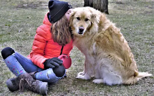 Dicas para avaliar a saúde do seu cachorro
