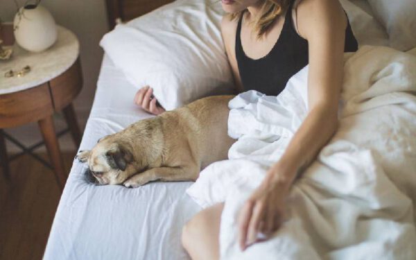 Estudo indica que mulheres dormem melhor quando partilham a cama com um cachorro Estudo indica que mulheres dormem melhor quando partilham a cama com um cachorro