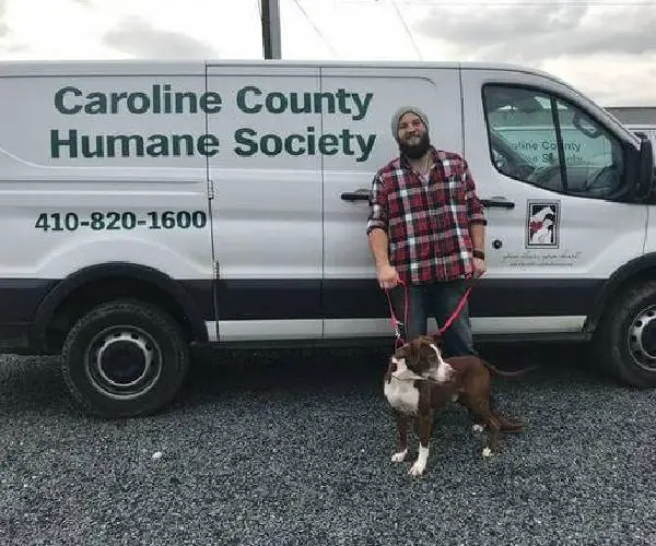 Homem abandona cachorro para se vingar da namorada e estranho leva o pet de volta para casa Homem abandona cachorro para se vingar da namorada e estranho leva o pet de volta para casa