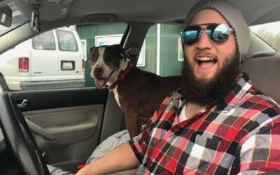 Homem abandona cachorro para se vingar da namorada e estranho leva o pet de volta para casa
