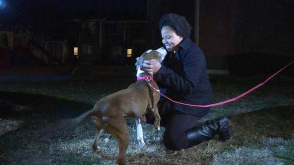 Homem abandona cachorro para se vingar da namorada e estranho leva o pet de volta para casa Homem abandona cachorro para se vingar da namorada e estranho leva o pet de volta para casa