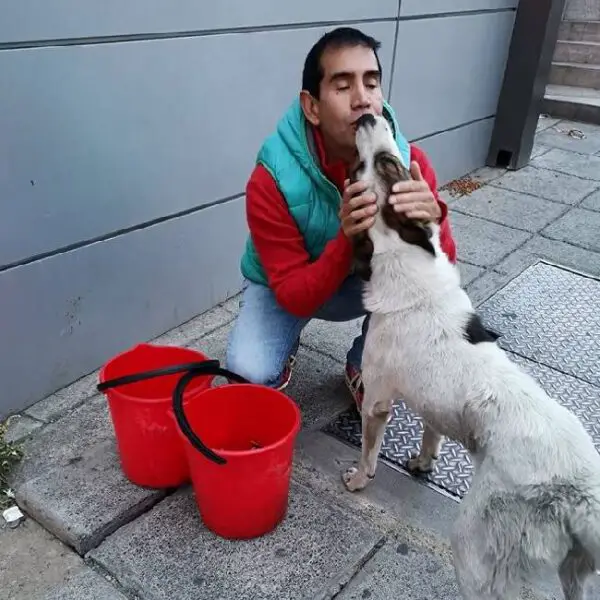 Homem encontra um jeito incrível de alimentar cães de rua Homem encontra um jeito incrível de alimentar cães de rua